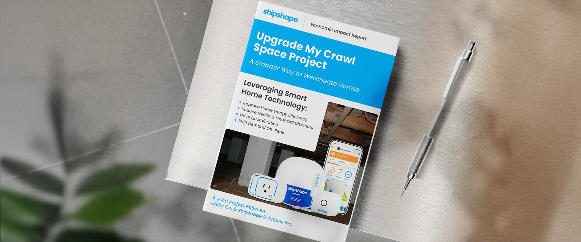 Upgrade My Crawl Space Project