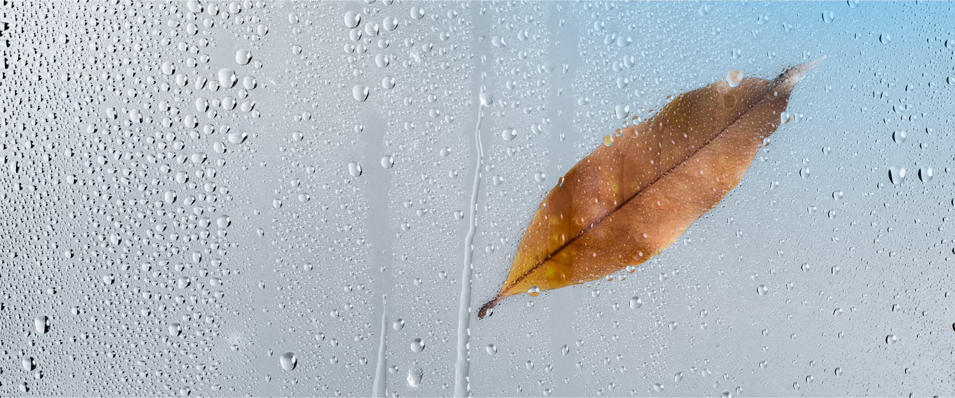 Why Do Your Home's Windows Fog, and How Can You Fix It?